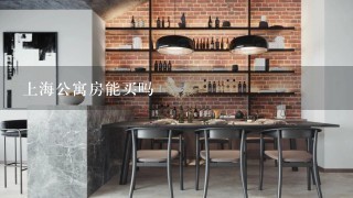 上海公寓房能买吗